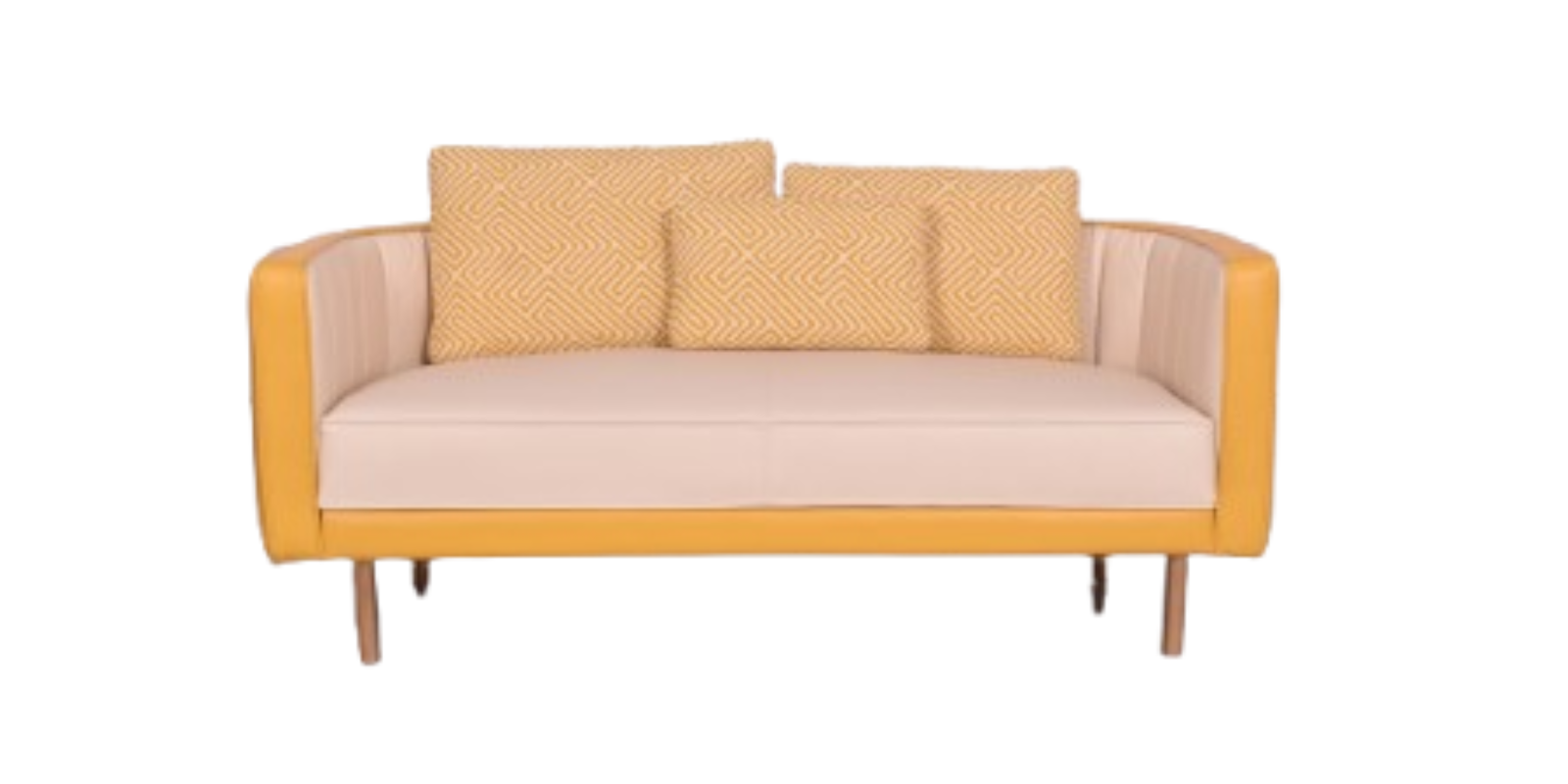 The Beetle 2-Seater Sofa features a stylish fabric and leatherette combination, offering spacious comfort, elegance, and durability for any living space.